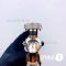 Часы Omega Seamaster Planet Ocean - Дубликат (14504)