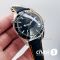 Часы Omega Seamaster Planet Ocean (16590)