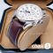 Часы Longines Master Collection (17163)