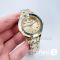 Часы Swarovski Octea (19504)