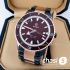 Часы Rado Captain Cook (19953)