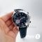 Часы Omega Seamaster Planet Ocean 007 (20162)