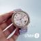 Часы Michael Kors MK6806 (22161)