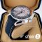 Часы Omega Seamaster Planet Ocean (22271)