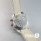 Часы Omega Seamaster Planet Ocean (23731)