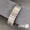 Часы Cartier Santos Dumont (23950)