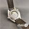 Часы Omega Seamaster Planet Ocean (24154)